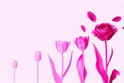 Illustration pretty - Image 1