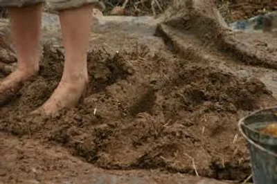 Illustration cob - Image 2