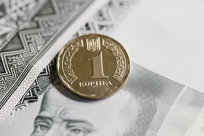 Illustration kopeks - Image 1