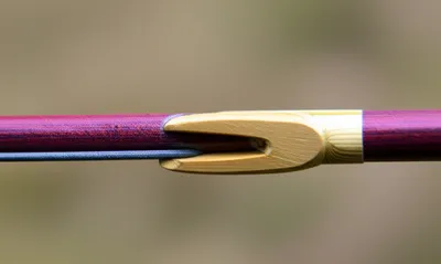 Illustration cock - Image 1