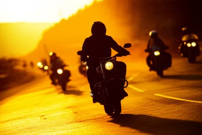 Illustration forerunner - Image 1