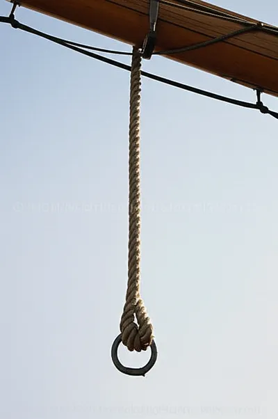 Illustration stirrups - Image 1