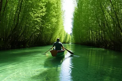 Illustration seeking - Image 1