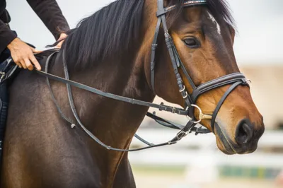 Illustration cheeking - Image 1