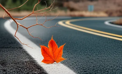 Illustration past - Image 1