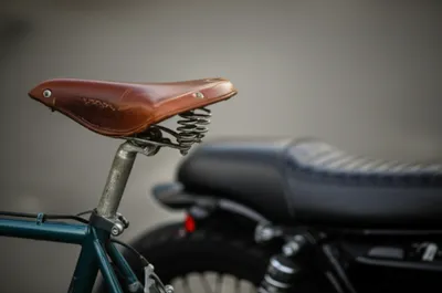 Illustration saddle - Image 1