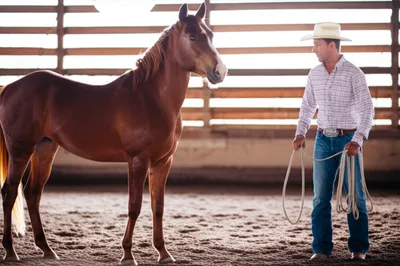 Illustration busted - Image 1