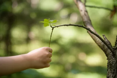 Illustration tans - Image 1