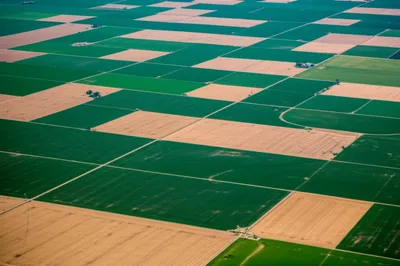 Illustration sections - Image 1