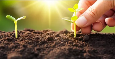 Illustration promise - Image 1