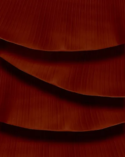 Illustration surfaces - Image 2