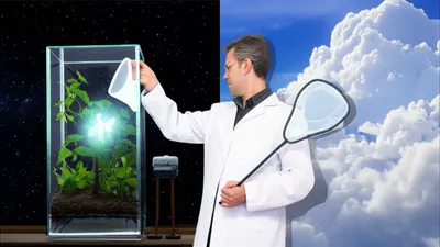 Illustration naturalise - Image 1