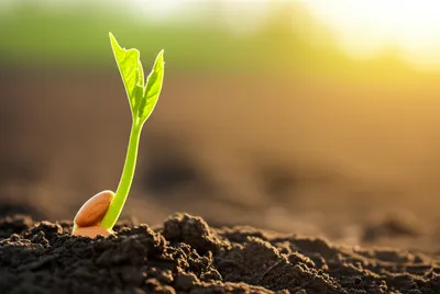 Illustration potential - Image 1