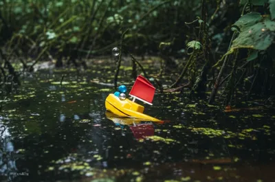 Illustration bogged - Image 1