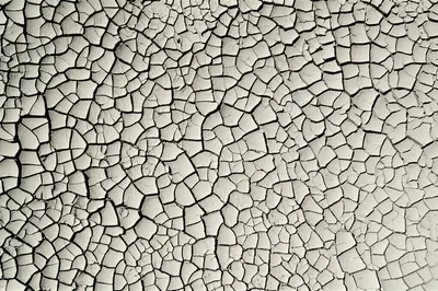 Illustration fissures - Image 1