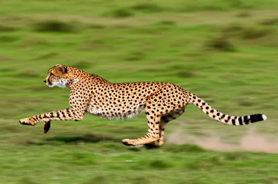 Illustration break - Image 1