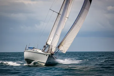 Illustration scudding - Image 1