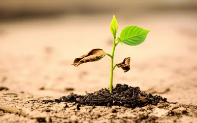 Illustration refresh - Image 1