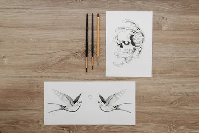 Illustration swallows - Image 2