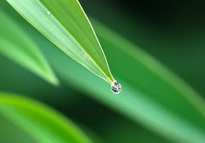 Illustration minimum - Image 1