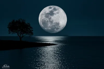 Illustration moonlight