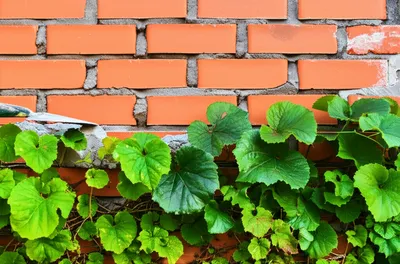 Illustration reinforcing