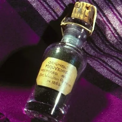 Illustration mauve - Image 2