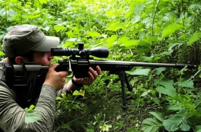 Illustration sniped - Image 1