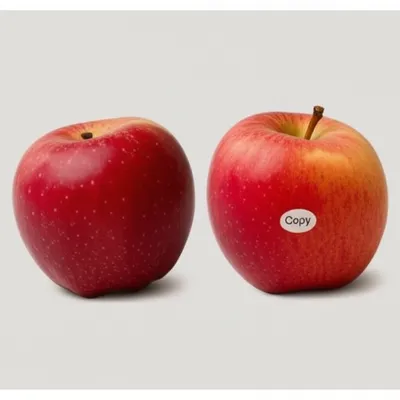 Illustration dupes - Image 1