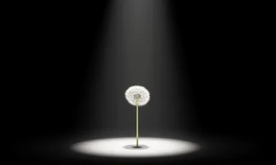 Illustration remarkably - Image 1