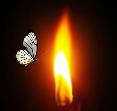 Illustration weakness - Image 1