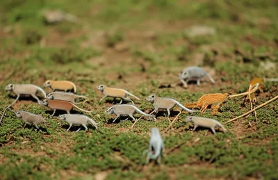 Illustration selection