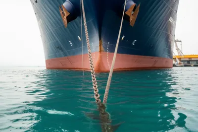 Illustration hawse - Image 1