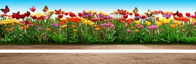 Illustration delimit - Image 1