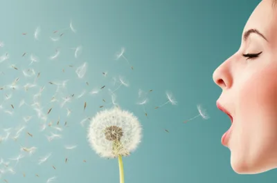 Illustration blow - Image 1