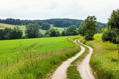 Illustration lanes - Image 1