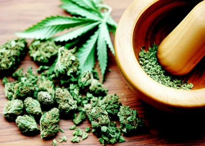 Illustration hashish - Image 2