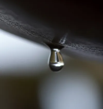 Illustration apex - Image 1