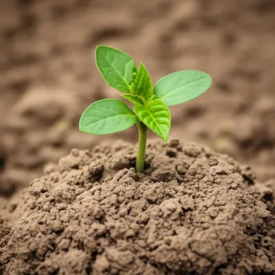 Illustration hill - Image 1