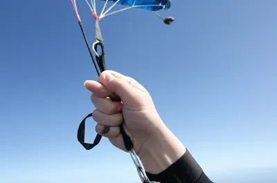 Illustration toggle - Image 1