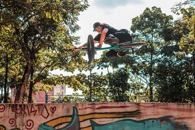 Illustration manoeuvrable - Image 2