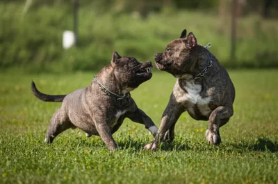 Illustration roll - Image 1