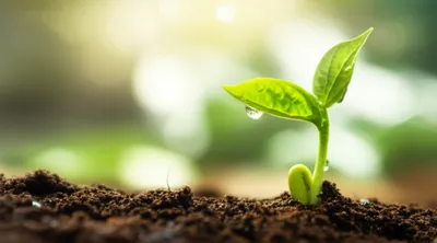 Illustration spurt - Image 1