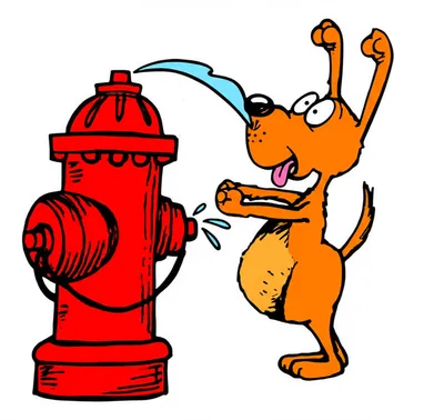 Illustration whizzes - Image 1