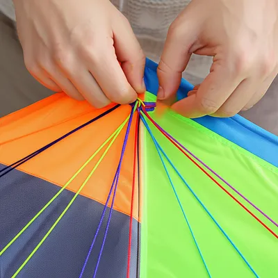 Hình ảnh minh họa string - Ảnh 1