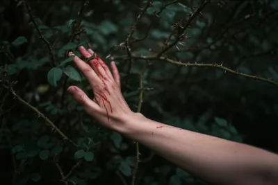 Illustration briers - Image 1