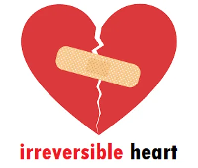 Illustration irreversible - Image 2