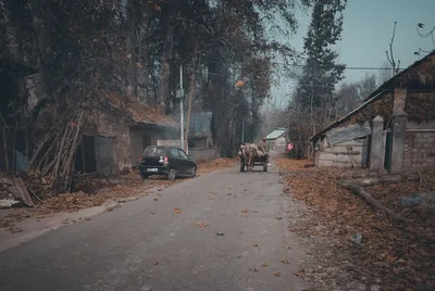 Illustration horsedrawn - Image 2