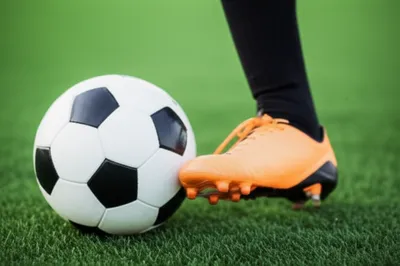 Illustration footer - Image 1