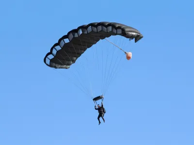 Illustration squidded - Image 1